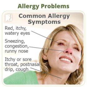 Allergy Problems